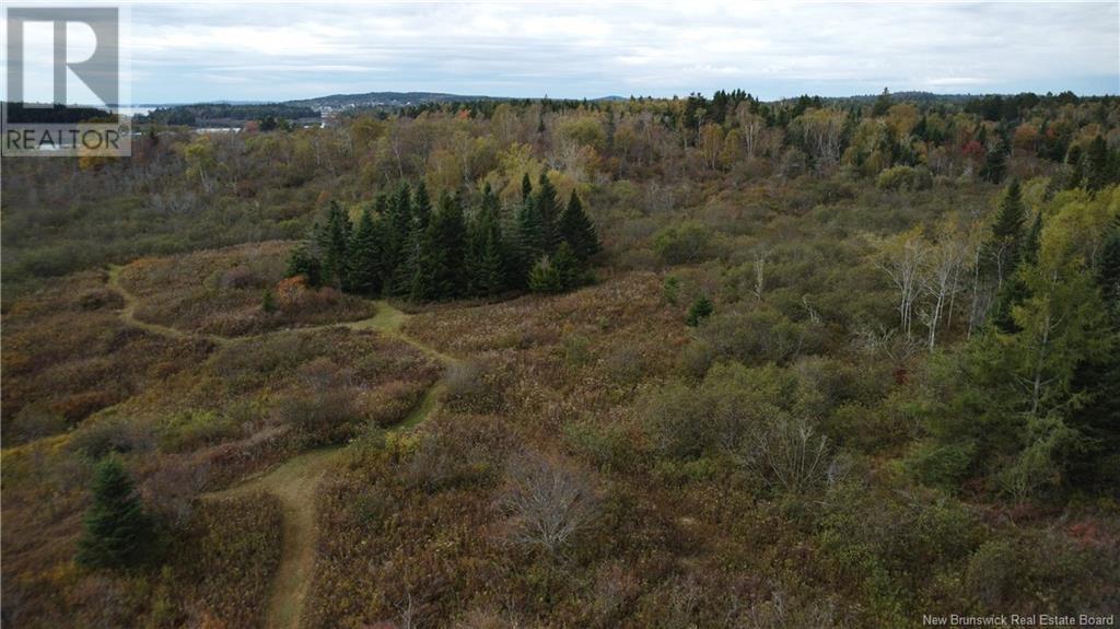 Lot Sam Hatt Road, Letang, New Brunswick  E5C 1Z9 - Photo 11 - NB109139