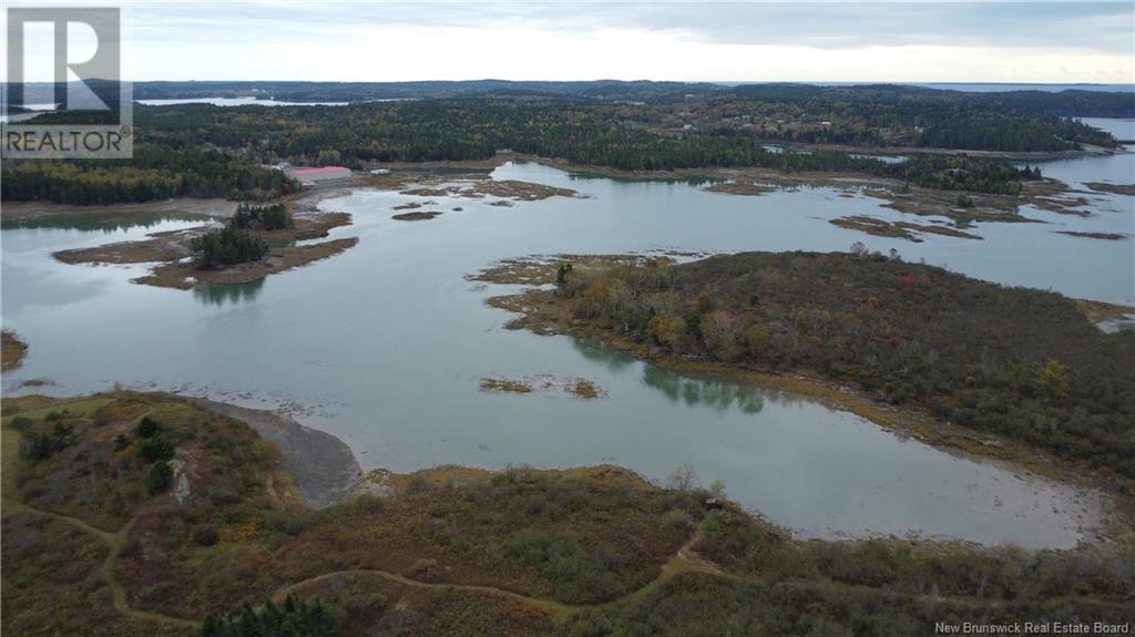 Lot Sam Hatt Road, Letang, New Brunswick  E5C 1Z9 - Photo 20 - NB109139