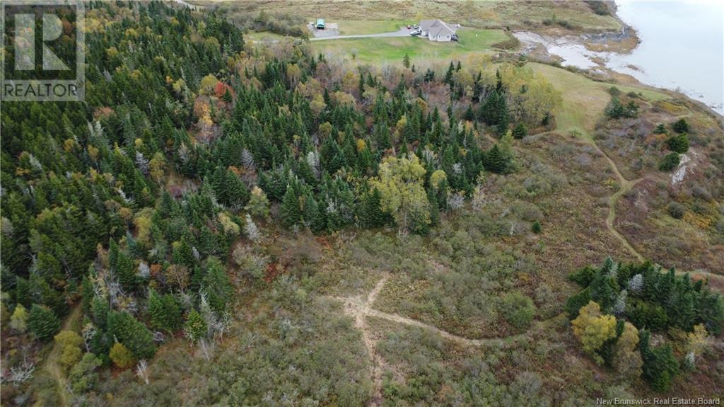 Lot Sam Hatt Road, Letang, New Brunswick  E5C 1Z9 - Photo 27 - NB109139