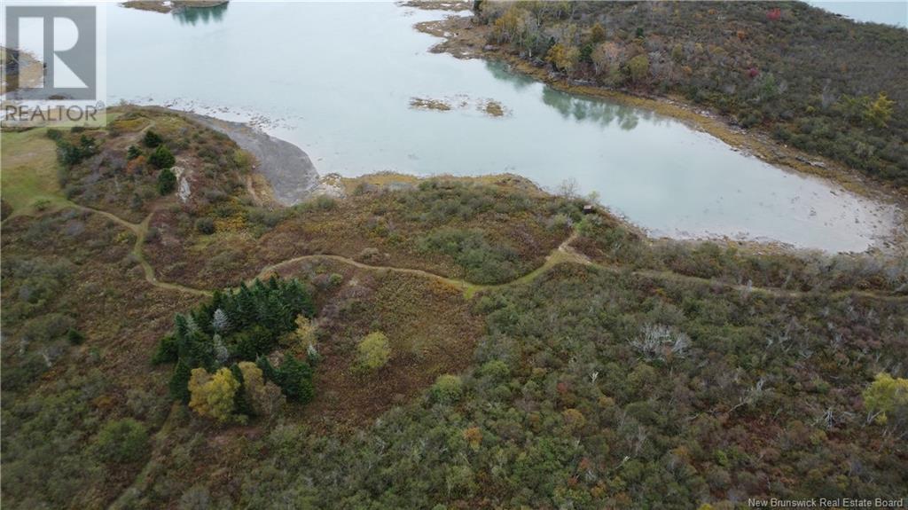 Lot Sam Hatt Road, Letang, New Brunswick  E5C 1Z9 - Photo 28 - NB109139