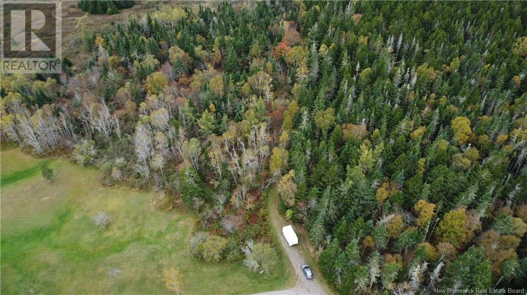 Lot Sam Hatt Road, Letang, New Brunswick  E5C 1Z9 - Photo 29 - NB109139