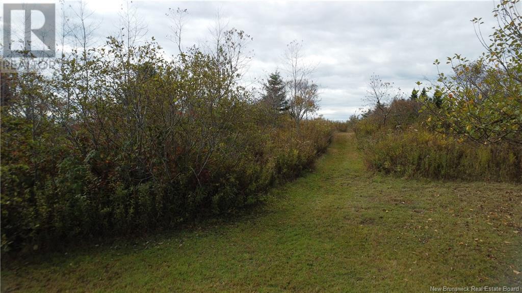 Lot Sam Hatt Road, Letang, New Brunswick  E5C 1Z9 - Photo 3 - NB109139