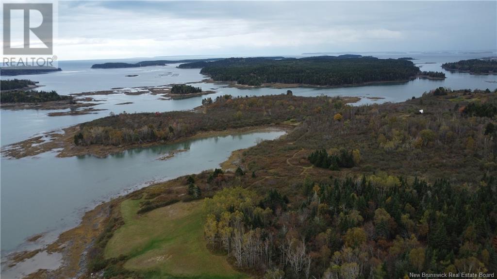 Lot Sam Hatt Road, Letang, New Brunswick  E5C 1Z9 - Photo 30 - NB109139