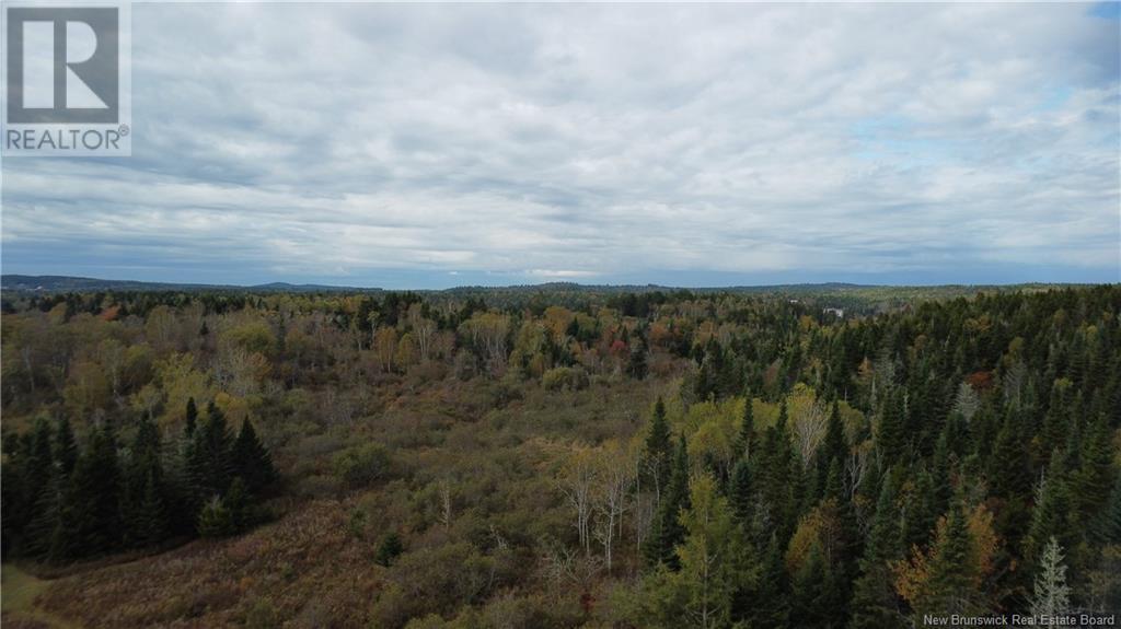 Lot Sam Hatt Road, Letang, New Brunswick  E5C 1Z9 - Photo 5 - NB109139