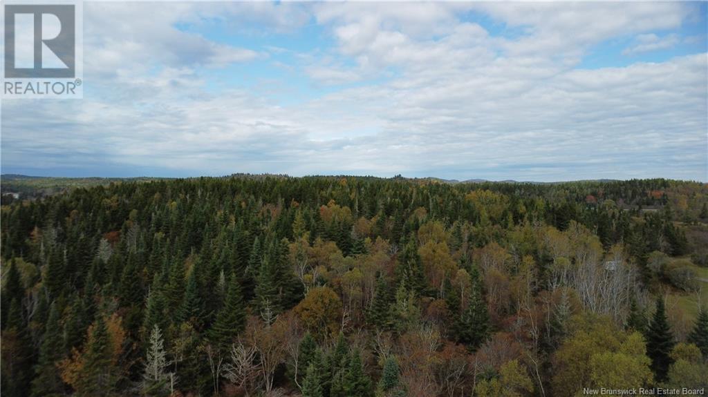 Lot Sam Hatt Road, Letang, New Brunswick  E5C 1Z9 - Photo 6 - NB109139