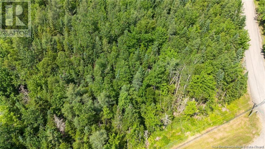 Lot 3 Ronald Woodworth Road, Tracyville, New Brunswick  E5L 1M7 - Photo 3 - NB109372