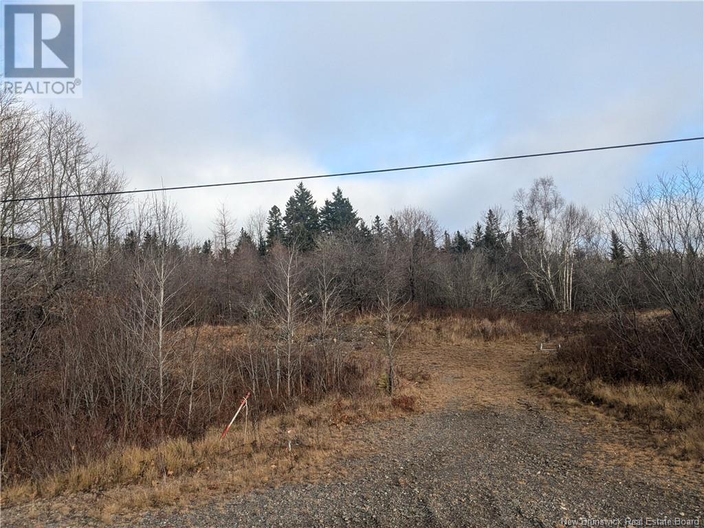 3755 Route 760, St George, New Brunswick  E5C 1A9 - Photo 4 - NB109752