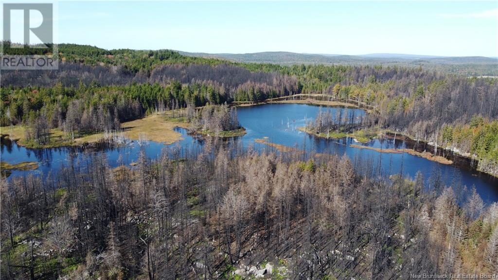 Lot 5 Route 127, Bocabec, New Brunswick  E5B 3H4 - Photo 17 - NB110067