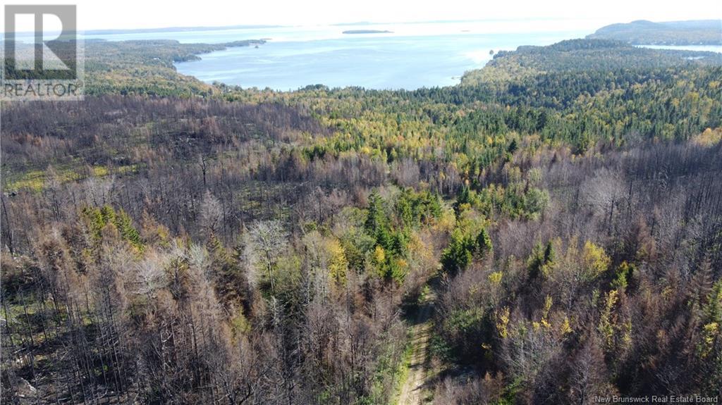 Lot 4 Route 127, Bocabec, New Brunswick  E5B 3H4 - Photo 15 - NB110066