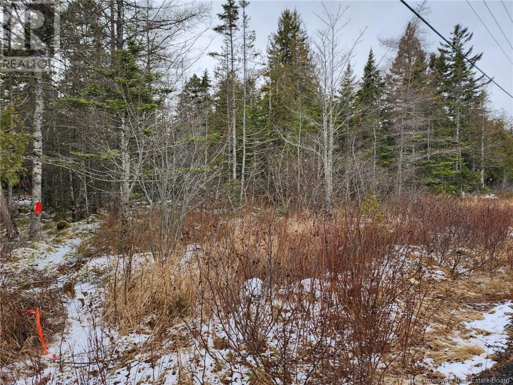 Lot A Route 790, Dipper Harbour, New Brunswick  E5J 1W6 - Photo 3 - NB111285