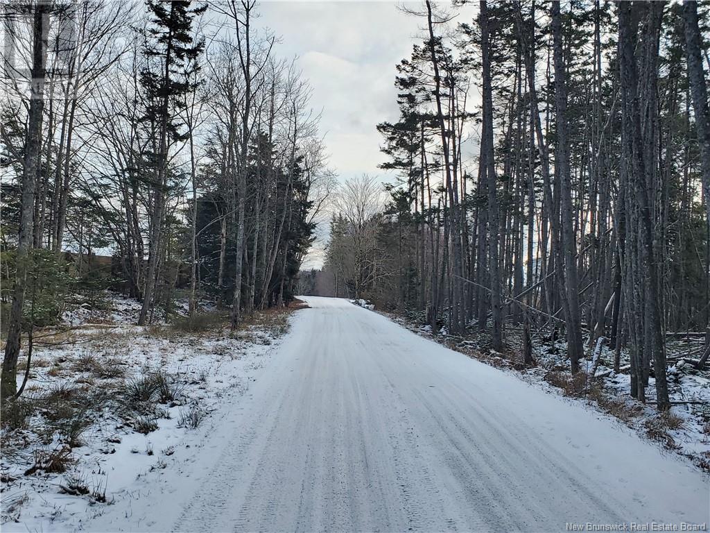 Lot 22-3 Clamshell Lane, Chamcook, New Brunswick  E5B 0G1 - Photo 3 - NB111093