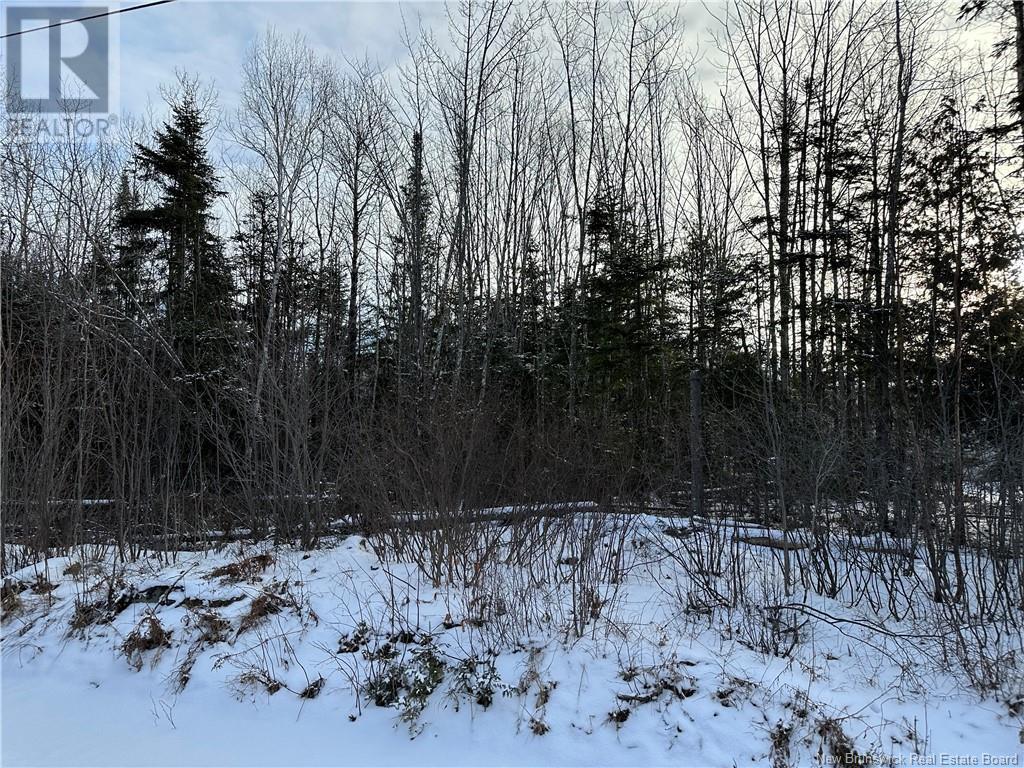 Lot 7 Route 635, Lake George, New Brunswick  E6K 3P1 - Photo 2 - NB111467