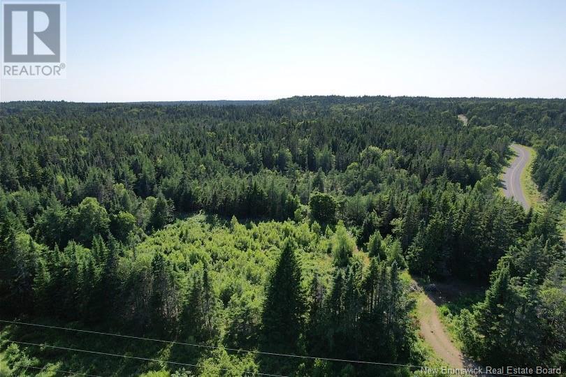 Dark Harbour Road, Grand Manan, New Brunswick