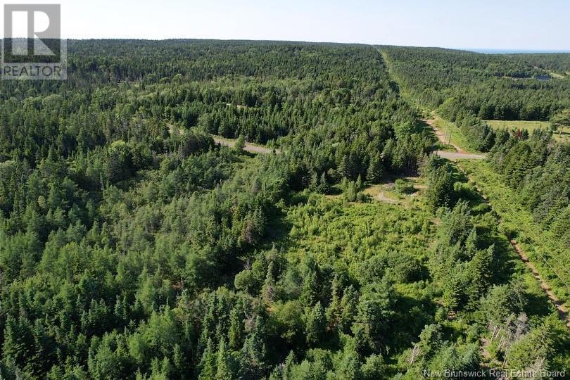 Dark Harbour Road, Grand Manan, New Brunswick  E5G 1C6 - Photo 9 - NB111807