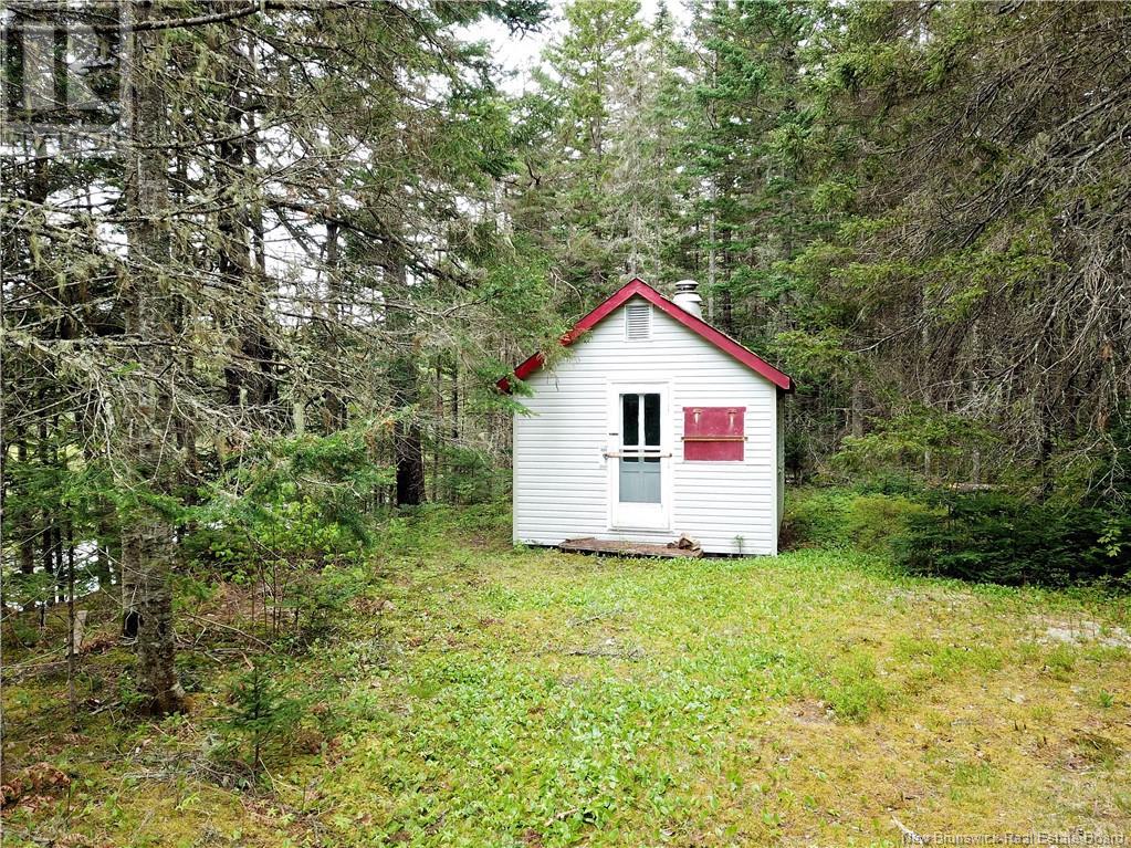 Dufour Road, Piskahegan, New Brunswick  E5C 0A8 - Photo 5 - NB111843