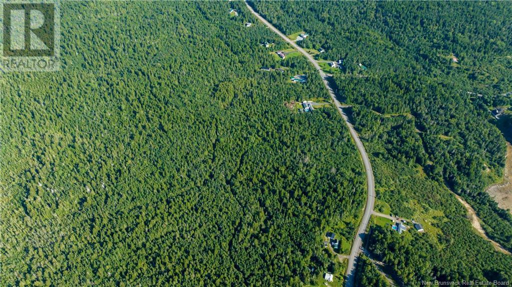 Lot 3 Route 172, Letang, New Brunswick  E5C 1W4 - Photo 21 - NB112809