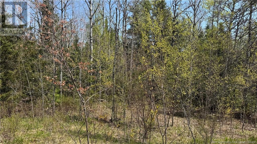 Na Highway 101, Clarendon, New Brunswick  E5K 4E1 - Photo 5 - NB114897