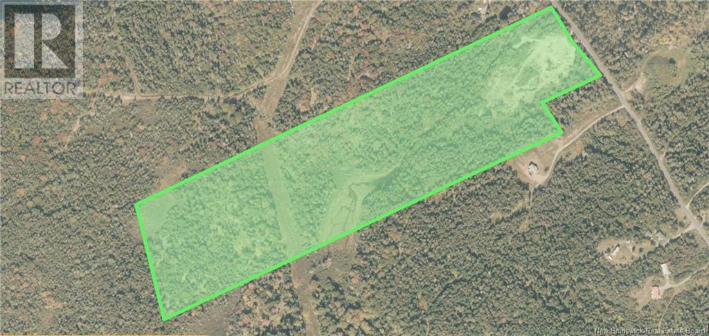 Whistle Road, Grand Manan, New Brunswick  E5G 1B8 - Photo 3 - NB116698