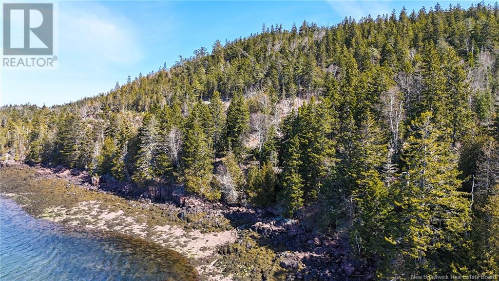 00 Osprey Drive, Chamcook, New Brunswick  E5B 0E9 - Photo 3 - NB116619