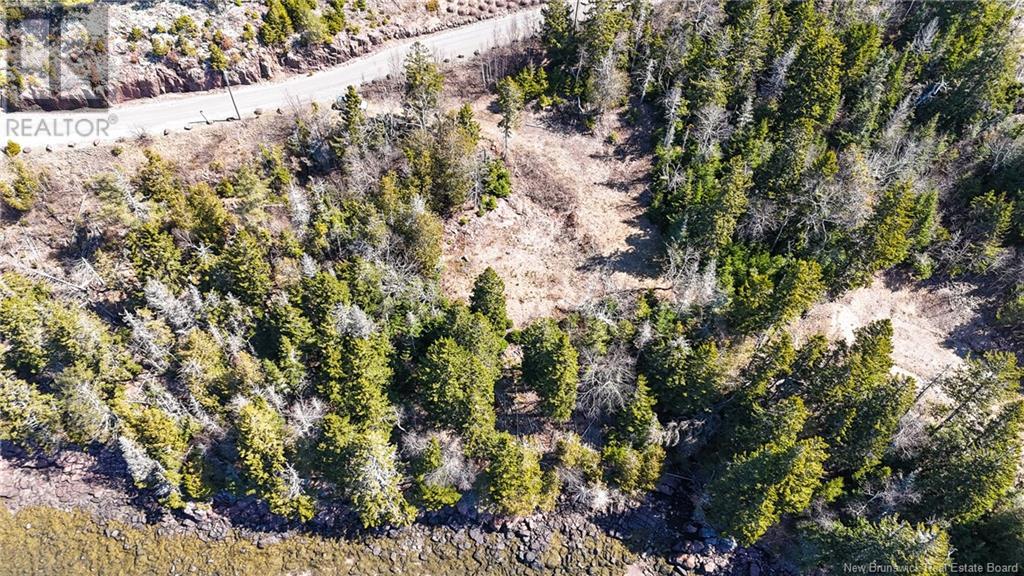 00 Osprey Drive, Chamcook, New Brunswick  E5B 0E9 - Photo 9 - NB116619