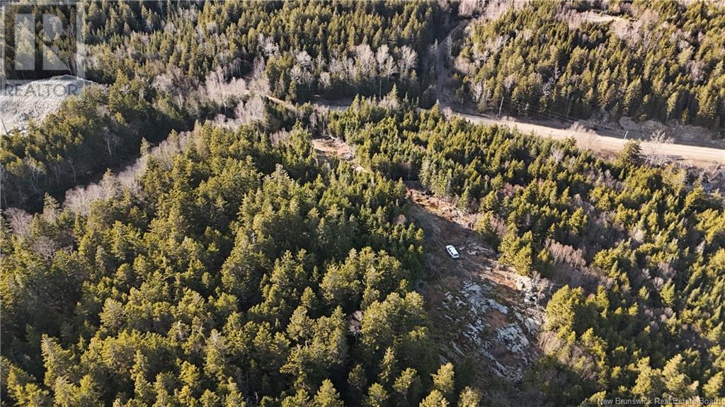 Lot Route 772, Hibernia Cove, New Brunswick  E5V 1L7 - Photo 10 - NB115738