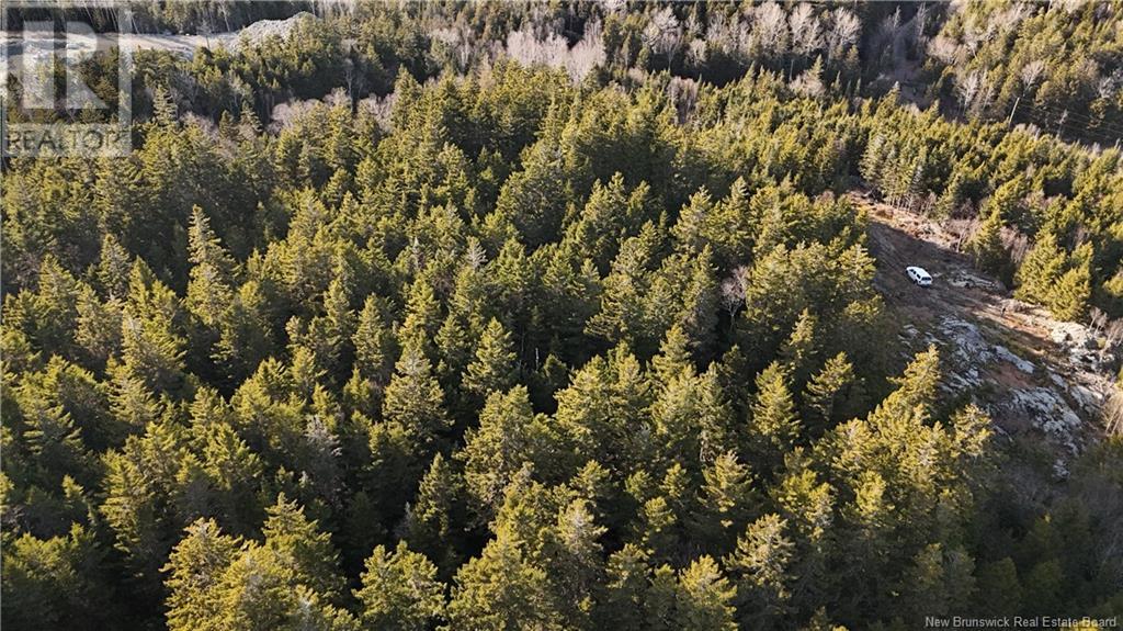 Lot Route 772, Hibernia Cove, New Brunswick  E5V 1L7 - Photo 11 - NB115738