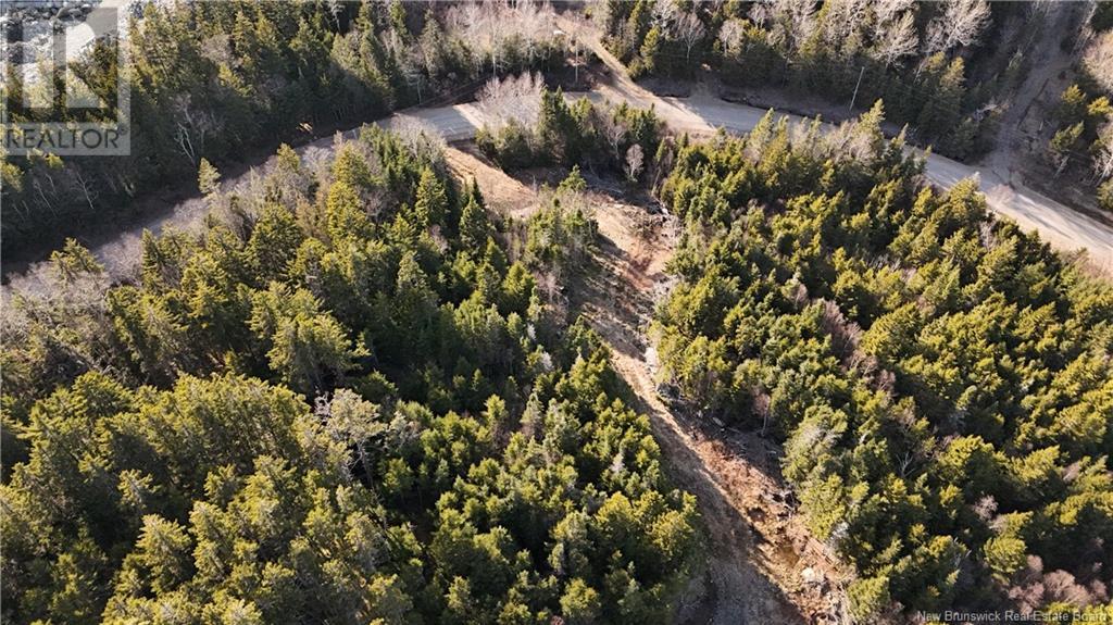 Lot Route 772, Hibernia Cove, New Brunswick  E5V 1L7 - Photo 13 - NB115738