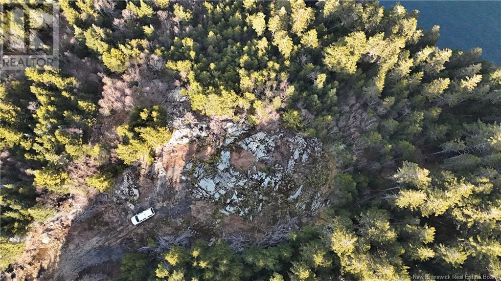 Lot Route 772, Hibernia Cove, New Brunswick  E5V 1L7 - Photo 14 - NB115738