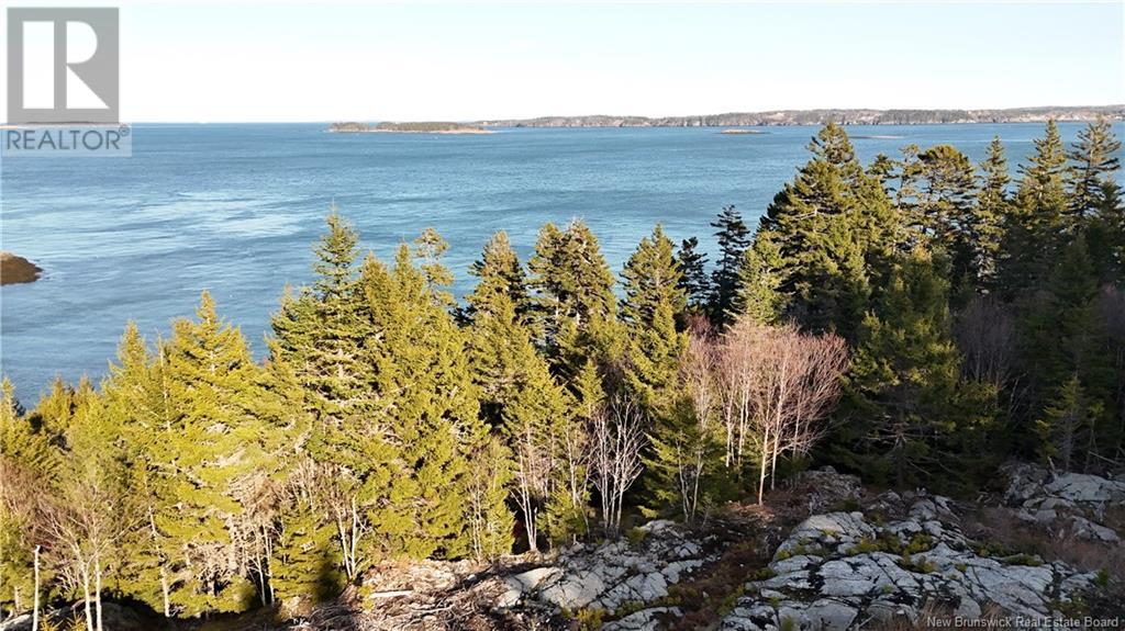 Lot Route 772, Hibernia Cove, New Brunswick  E5V 1L7 - Photo 4 - NB115738