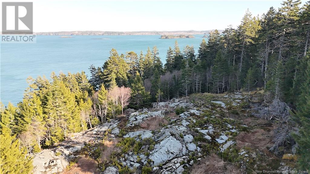 Lot Route 772, Hibernia Cove, New Brunswick  E5V 1L7 - Photo 5 - NB115738