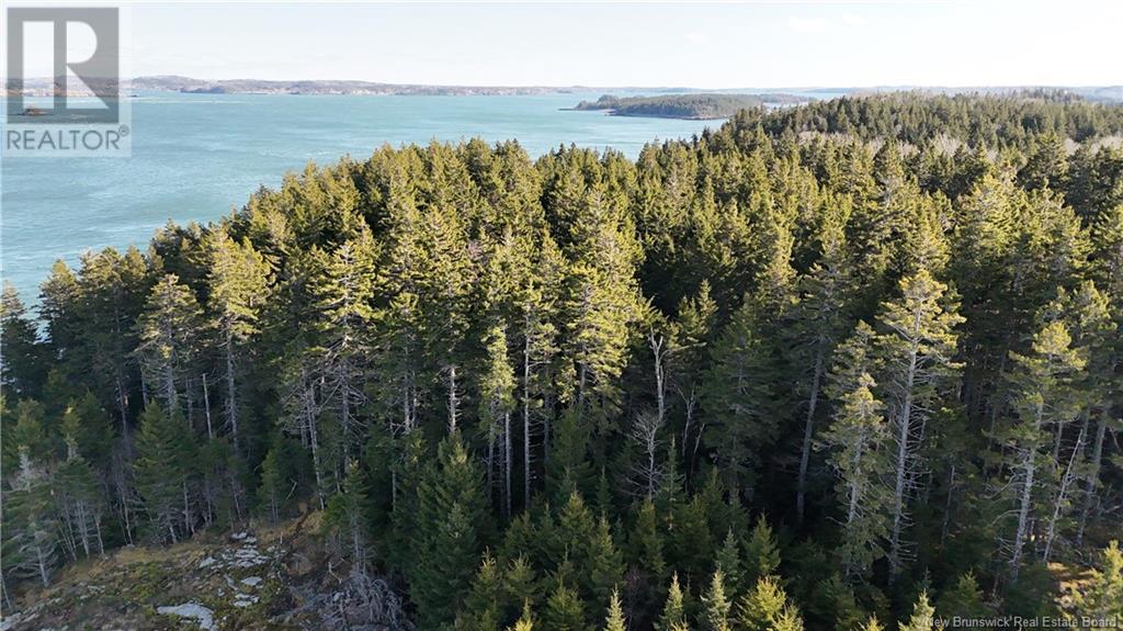 Lot Route 772, Hibernia Cove, New Brunswick  E5V 1L7 - Photo 6 - NB115738