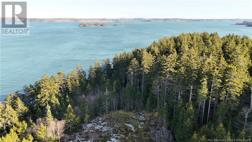 Lot Route 772, Hibernia Cove, New Brunswick  E5V 1L7 - Photo 7 - NB115738