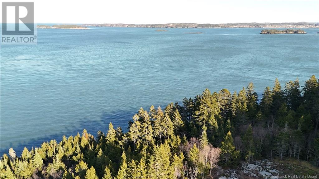 Lot Route 772, Hibernia Cove, New Brunswick  E5V 1L7 - Photo 8 - NB115738