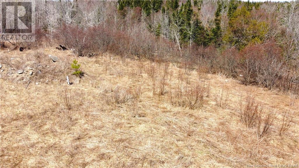 18 Frye Road, Chamcook, New Brunswick  E5B 3R6 - Photo 16 - NB116789
