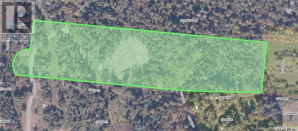 Lot 15-04 Ohio Pond Road, Grand Manan, New Brunswick  E5G 4B4 - Photo 10 - NB117251