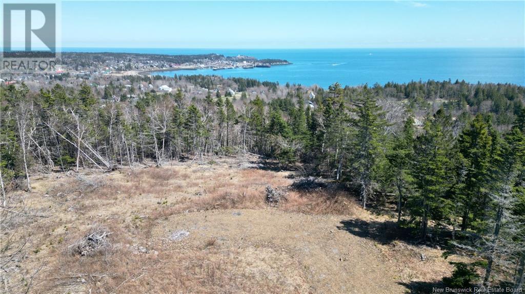 Lot 15-04 Ohio Pond Road, Grand Manan, New Brunswick  E5G 4B4 - Photo 2 - NB117251
