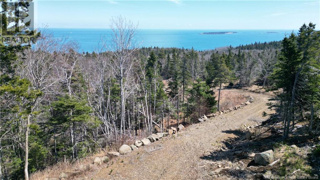 Lot 15-04 Ohio Pond Road, Grand Manan, New Brunswick  E5G 4B4 - Photo 3 - NB117251