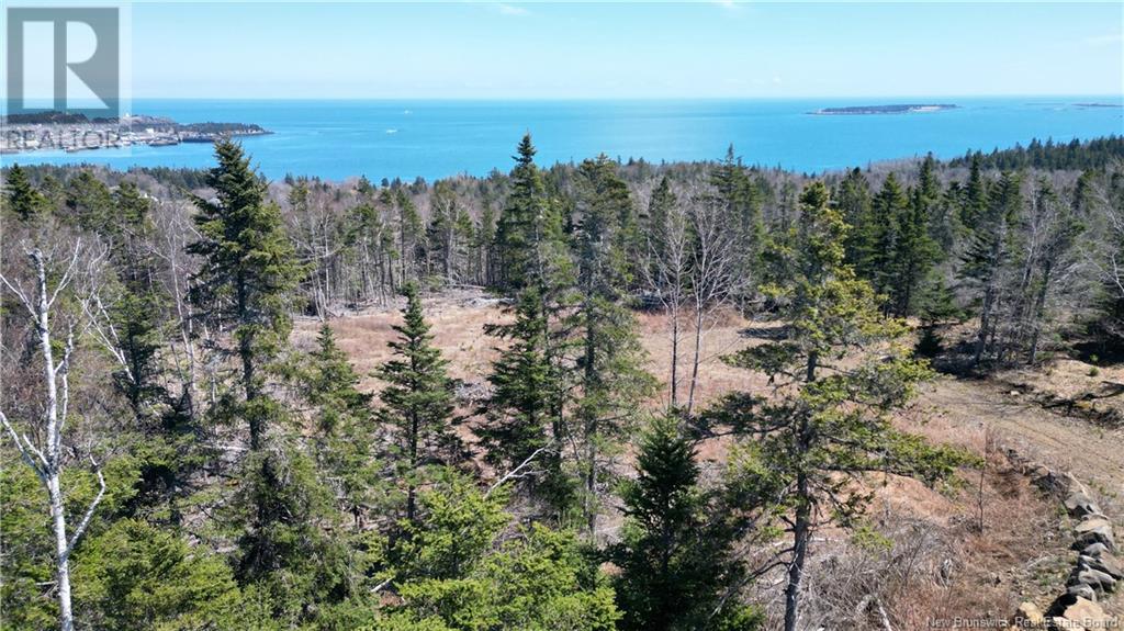Lot 15-04 Ohio Pond Road, Grand Manan, New Brunswick  E5G 4B4 - Photo 6 - NB117251