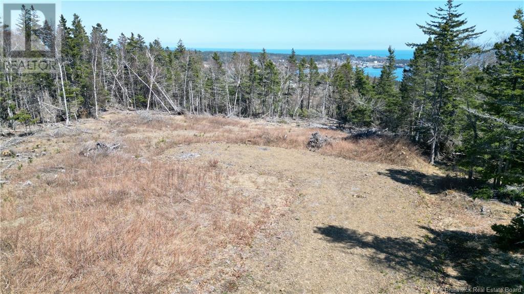 Lot 15-04 Ohio Pond Road, Grand Manan, New Brunswick  E5G 4B4 - Photo 7 - NB117251