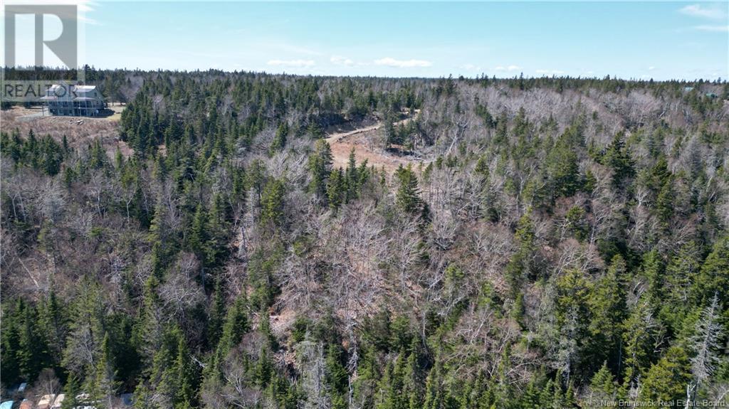 Lot 15-04 Ohio Pond Road, Grand Manan, New Brunswick  E5G 4B4 - Photo 9 - NB117251