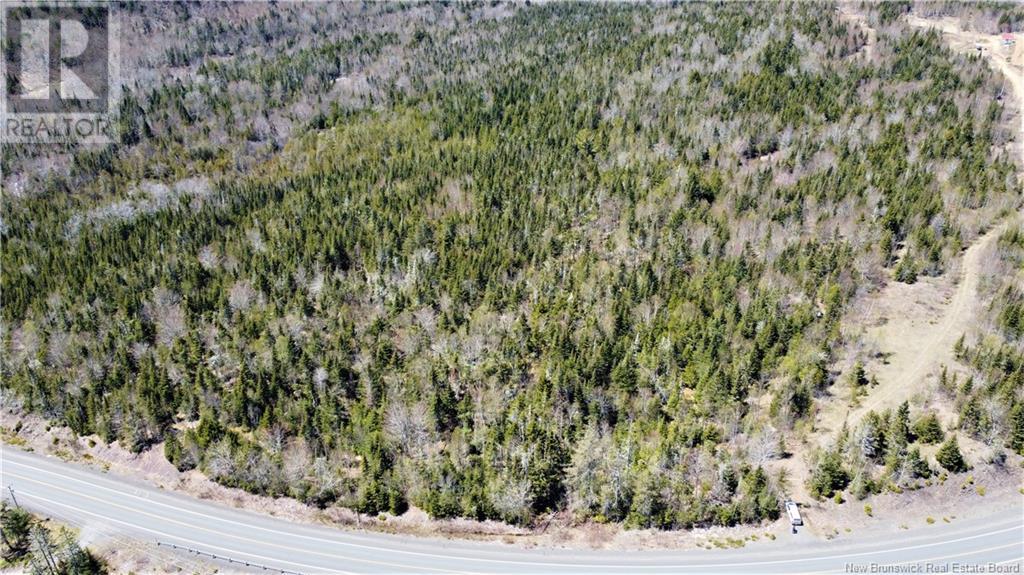 Lot 2024-2 Route 127, Chamcook, New Brunswick  E5B 3R6 - Photo 4 - NB117578