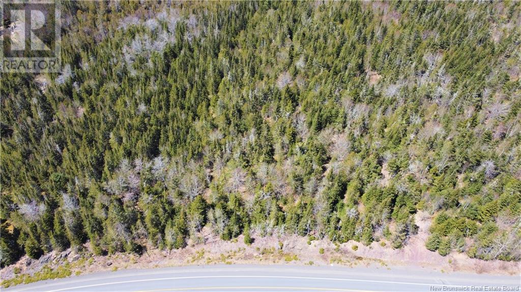 Lot 2024-2 Route 127, Chamcook, New Brunswick  E5B 3R6 - Photo 5 - NB117578