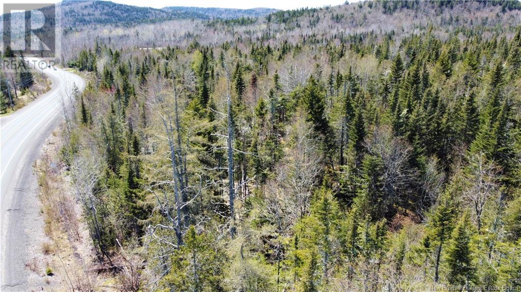 Lot 2024-2 Route 127, Chamcook, New Brunswick  E5B 3R6 - Photo 6 - NB117578