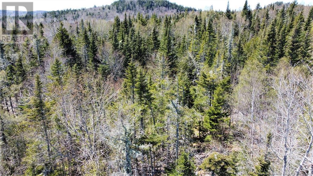 Lot 2024-2 Route 127, Chamcook, New Brunswick  E5B 3R6 - Photo 7 - NB117578