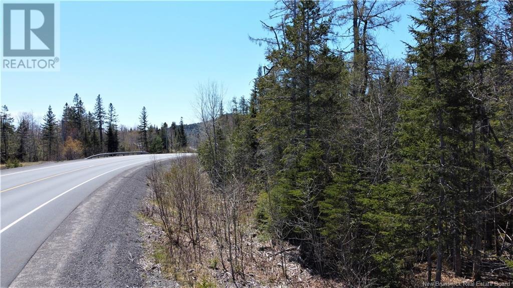 Lot 2024-2 Route 127, Chamcook, New Brunswick  E5B 3R6 - Photo 8 - NB117578