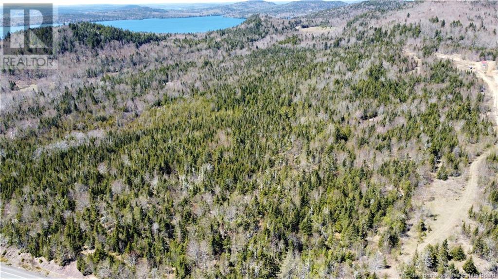 Lot 2024-1 Route 127, Chamcook, New Brunswick