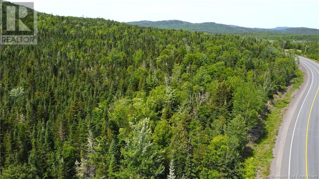 Lot 2024-1 Route 127, Chamcook, New Brunswick  E5B 3R6 - Photo 20 - NB117434