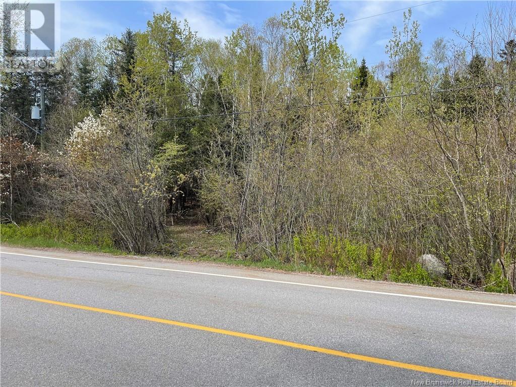 South Street, St George, New Brunswick  E5C 3R1 - Photo 2 - NB117912