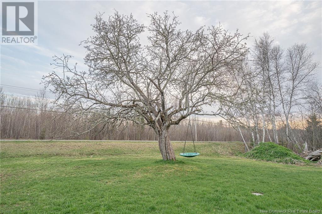 3282 Route 3, Harvey, New Brunswick  E6K 1V6 - Photo 38 - NB118271