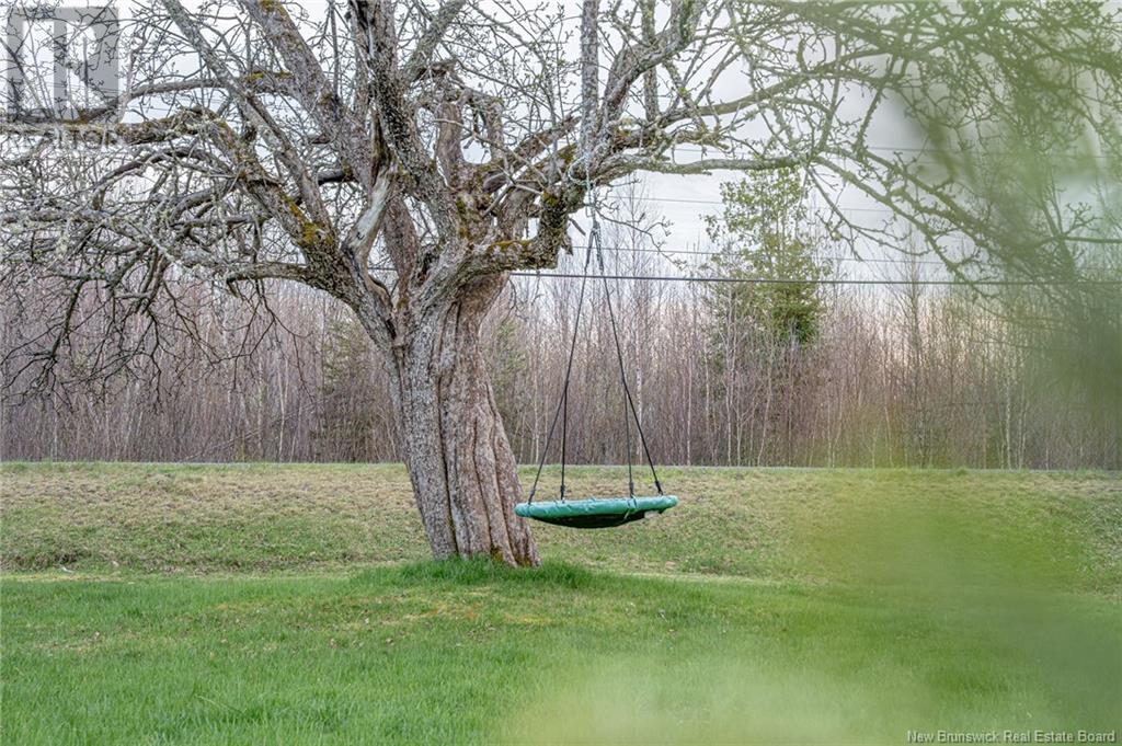 3282 Route 3, Harvey, New Brunswick  E6K 1V6 - Photo 39 - NB118271